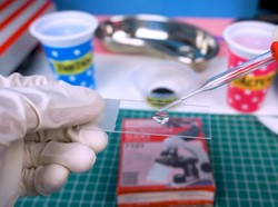 Begini Tampilan Air Zam-Zam dan Kurma Saat Dilihat Pakai Mikroskop