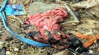 Ceceran Pakaian hingga Rambut di TKP Perempuan Dibakar Hidup-hidup