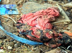 Tidak Dikenali Hingga Ajal Menjemput, Ini Ciri Perempuan Dibakar di Sukabumi