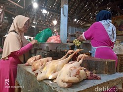 Harga Daging Ayam Melonjak Hingga Rp 40 Ribu per Kg di Kota Probolinggo