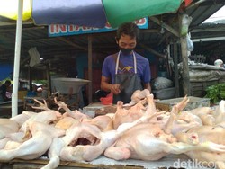 Harga Daging Ayam dan Bawang Merah di Kota Mojokerto Naik Jelang Lebaran