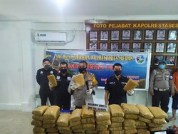 Polisi Tangkap 4 Pengedar Narkoba di Medan, 240 Kg Ganja Diamankan