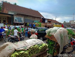 Efek Viral Pedagang Buang Sayur di Malang, Diborong Pemkab untuk Dapur Umum
