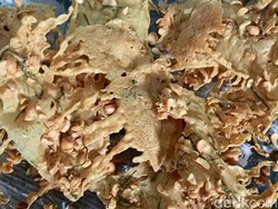 Cara Membuat Rempeyek Kacang Tanah yang Renyah Gurih