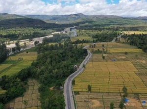 Ini Dia Jalan Sabuk Merah di Perbatasan NTT-Timor Leste Ini Dia Jalan Sabuk Merah di Perbatasan NTT-Timor Leste