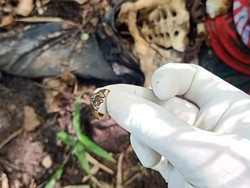 Kerangka Manusia di Jekulo Kudus Rampung Diautopsi, Ini Hasilnya