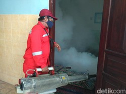 Angka Penderita DBD di Situbondo Tembus 108 Kasus, Satu Balita Meninggal