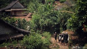 Menikmati Hijaunya Alam Suku Adat Baduy Sebelum Corona