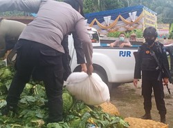 Bawa 10 Karung Miras di Tumpukan Sayur, Dua Warga Diberhentikan di Gorontalo