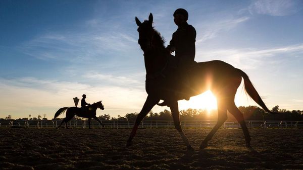 Lockdown Dilonggarkan, Pacuan Kuda di Uruguay Kembali Berdenyut