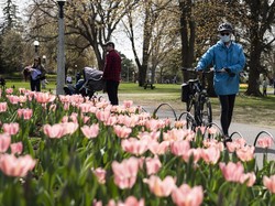 Pejabat Ontario Kecam Kerumunan yang Terjadi di Taman Toronto Saat Pandemi