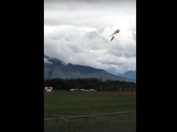 Detik-detik Pesawat Aerobatik Kanada Jatuh, Satu Orang Tewas