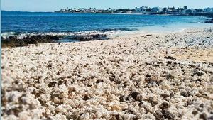 Potret Pantai Spanyol yang Punya Pasir Popcorn