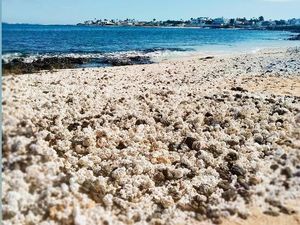 Potret Pantai Spanyol yang Punya Pasir Popcorn Potret Pantai Spanyol yang Punya Pasir Popcorn