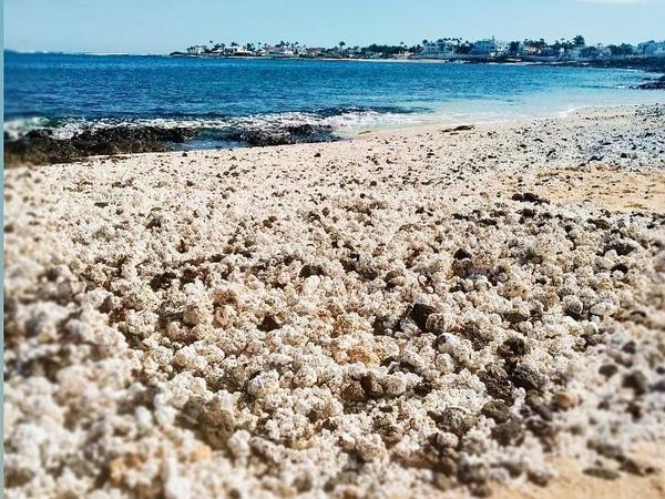 Potret Pantai Spanyol yang Punya Pasir Popcorn