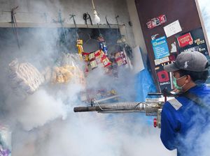 Ada Lebih dari 70.000 Kasus DBD di RI, Penanganannya Terhambat Corona