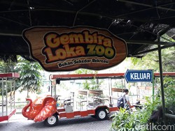 GL Zoo Jadi Lokasi Pesta Nikah Anak Bosnya, Belum Rencana Disewakan Umum