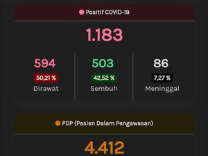 Update Corona di Jateng 18 Mei: 1.183 Positif, 587 PDP Meninggal