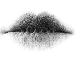 Tes Gambar: Hal Pertama yang Dilihat Ungkap Kamu Introvert atau Ekstrovert