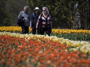 Kabar Baik, Kanada Hapus Syarat Wajib Vaksin untuk Turis Asing Kabar Baik, Kanada Hapus Syarat Wajib Vaksin untuk Turis Asing
