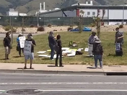 Pabrik Tesla Didemo Warga karena Beroperasi Saat Lockdown