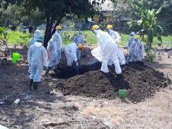 PDP Corona Kabupaten Pasuruan Kembali Meninggal, Perempuan Penderita Diabetes