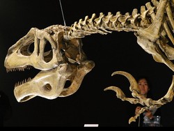 Fosil Dinosaurus Penghuni Terakhir Bumi Ada di Argentina