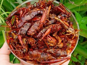 Tunda Mudik Tetap Bisa Pulang Kampung dan Dapat Gudeg Kendil hingga Walang Goreng Tunda Mudik Tetap Bisa Pulang Kampung dan Dapat Gudeg Kendil hingga Walang Goreng