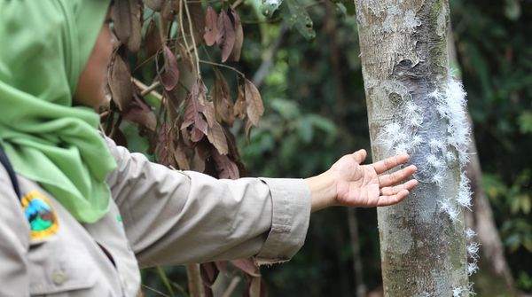 Lestarikan Keanekaragaman Hayati