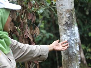 Lestarikan Keanekaragaman Hayati Lestarikan Keanekaragaman Hayati
