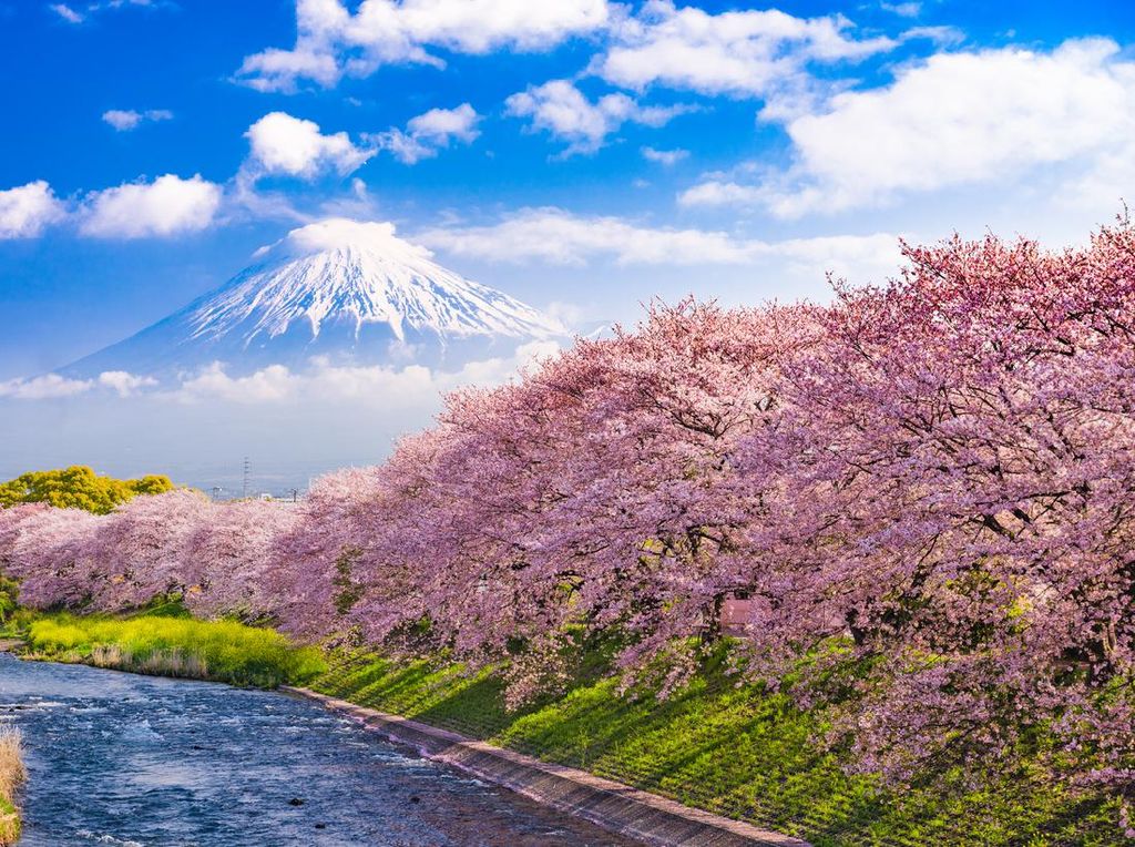 Gunung Fuji Nggak ke Mana-Mana, Sabar Saja Sampai Corona Usai Gunung Fuji Nggak ke Mana-Mana, Sabar Saja Sampai Corona Usai
