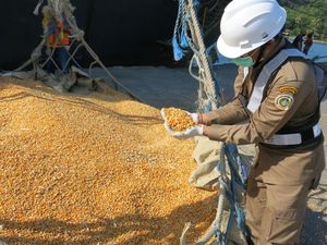 Kemendag Rogoh Rp 45 M Susun Strategi Turunkan Harga Jagung Kemendag Rogoh Rp 45 M Susun Strategi Turunkan Harga Jagung