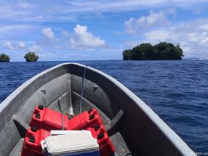 Melihat Bagaimana Negara-negara Pulau di Pasifik Berusaha Meredam Corona