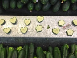 Cute Cumbers, Timun Bentuk Hati dan Bintang yang Viral di Medsos