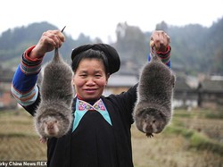 Pemerintah China Beli Semua Daging Hewan Liar Untuk Bantu Peternak