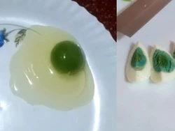 Bukan Kuning, Telur Ayam di India Ini Warnanya Hijau