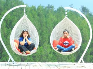 Ini Hutan Pinus yang Sejuk dan Instagramable di Magelang Ini Hutan Pinus yang Sejuk dan Instagramable di Magelang