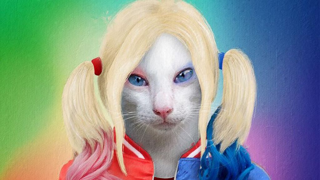 Emesh! Anjing-Kucing Disulap Jadi Bob Marley Sampai Michael Jackson Emesh! Anjing-Kucing Disulap Jadi Bob Marley Sampai Michael Jackson