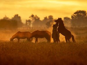 Lansekap Memukau Matahari Terbit di Jerman Lansekap Memukau Matahari Terbit di Jerman