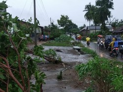Puting Beliung Terjang Lampung: Ratusan Rumah Rusak-2 Warga Tewas
