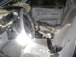 Tak Sekadar Turun ke Jalan, Beruang Ini Malah Masuk ke Dalam Mobil