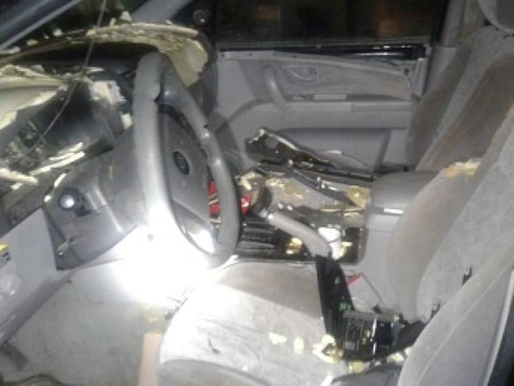Tak Sekadar Turun ke Jalan, Beruang Ini Malah Masuk ke Dalam Mobil Tak Sekadar Turun ke Jalan, Beruang Ini Malah Masuk ke Dalam Mobil