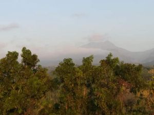 4 Fakta Menarik Gunung Wilis, Surga Tersembunyi Bagi Pendaki 4 Fakta Menarik Gunung Wilis, Surga Tersembunyi Bagi Pendaki