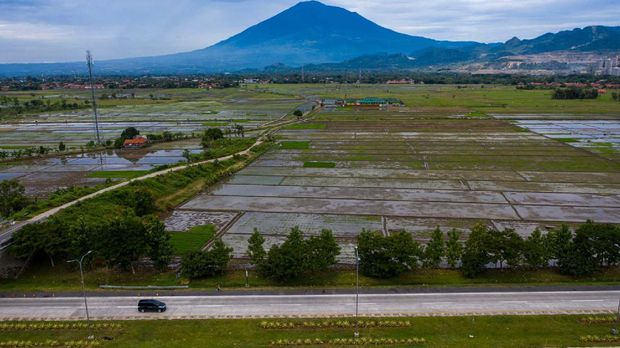 Kendaraan melintas di Tol Cipali Palimanan, Cirebon, Jawa Barat, Kamis (21/5/2020). Menjelang Lebaran, salah satu titik kepadatan arus mudik di ruas tol Cikopo-Palimanan (Cipali) terpantau sepi dikarenakan adanya larangan mudik dari Pemerintah demi mencegah penyebaran wabah COVID-19. ANTARA FOTO/Nova Wahyudi/nz