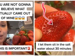 Video TikTok Ini Tunjukkan Cara Mencuci Strawberry untuk Basmi Serangga