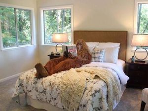 Unik, Iklan Penjualan Rumah yang Gunakan Bigfoot Sebagai Modelnya