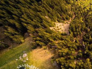 Potret Mural Raksasa yang Berikan Pesan pada Dunia