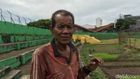 Sanusi Uci, warga sekitar stadion yang menanam kangkung dan bayam. Dia melukannya untuk berbagi dengan enam kepala keluarga lain yang tinggal di Stadion Andi Mattalatta. (Foto: detikcom/Ibnu Munsir)
