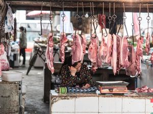 Wuhan Keluarkan Larangan Makan Daging Hewan Liar Selama 5 Tahun