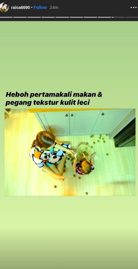 Raisa dan sang putri